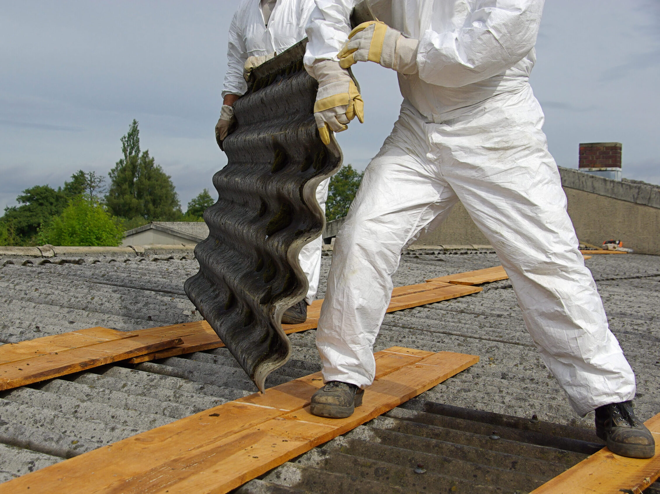 Zwei Personen tragen weiße Schutzanzüge, Handschuhe und Sicherheitsschuhe und heben gemeinsam eine gewellte Dachplatte von einem älteren Wellplattendach ab. Die Arbeiten erfolgen auf ausgelegten Holzbohlen, die als Laufwege dienen. Im Hintergrund sind Bäume, weitere Gebäudeteile und ein bewölkter Himmel zu sehen. Das Bild dokumentiert Dacharbeiten unter besonderen Schutzmaßnahmen.